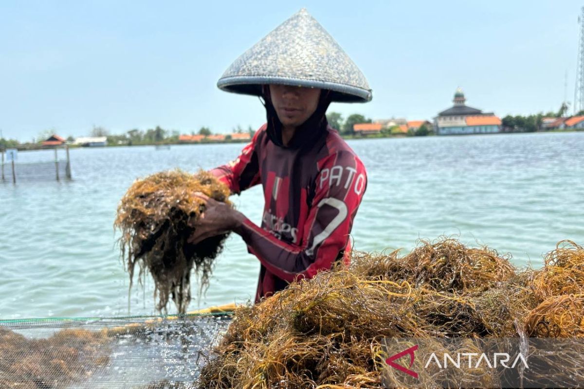 BRIN terus berupaya tingkatkan PDB di sektor maritim