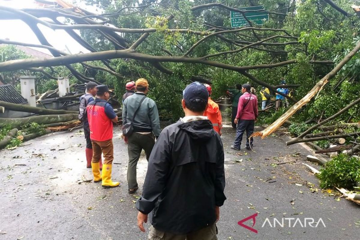 27 bencana terjadi di Cimahi akibat hujan deras & angin, enam terluka